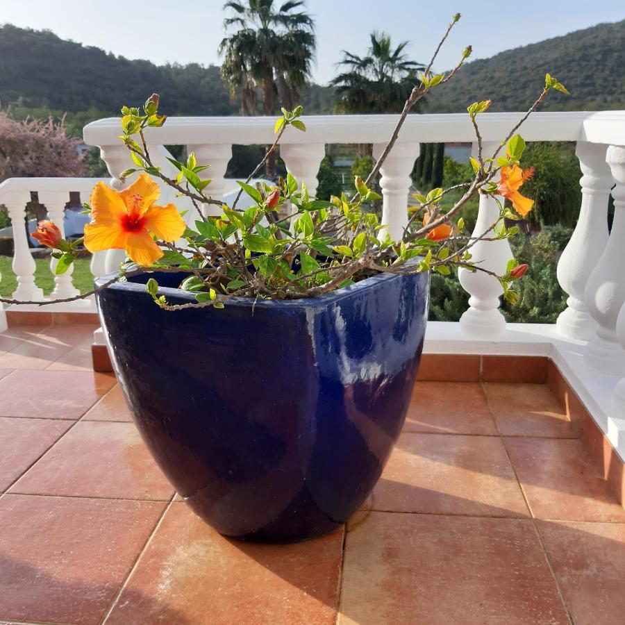B&B Entrecolinas Paderne (Faro) Exterior foto